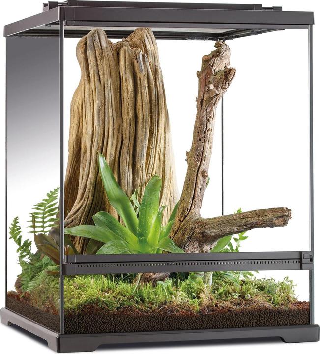 Produktbild Exo Terra Dart Frog Terrarium, 45x45x60cm