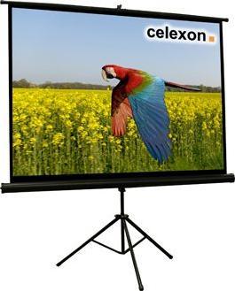 Celexon Economy (86", 4:3)