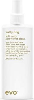 Immagine prodotto Evo Salty Dog Salt Spray 200ml (200 ml)