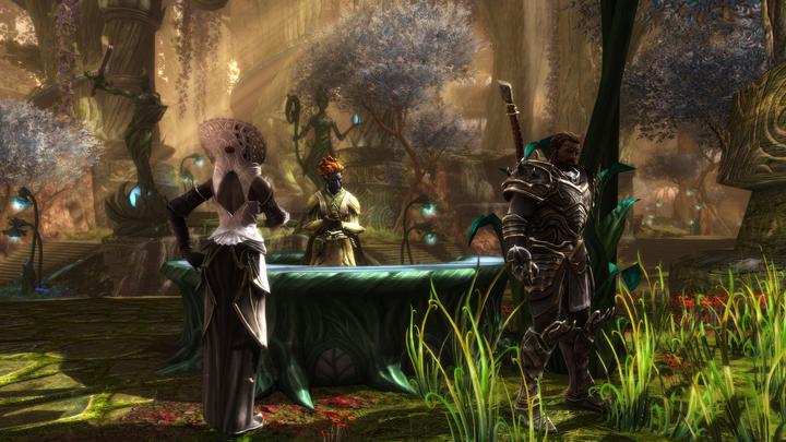 Image du produit THQ Kingdoms of Amalur - Reckoning Edition définitive (PS4, IT, FR)