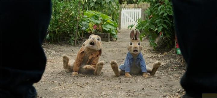 Produktbild Peter Hase (DVD, 2018, Deutsch)