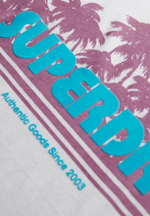 Actual product image Superdry Outdoor Stripe Relaxed Tee (8)