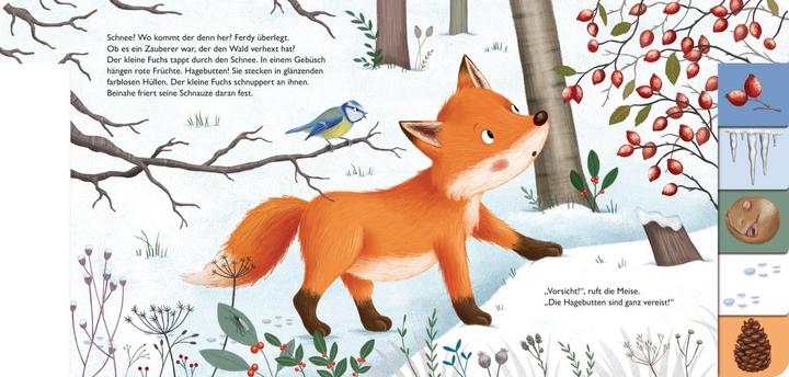 Produktbild Mein erstes Jahreszeitenbuch: Ferdy, der kleine Fuchs (Deutsch)