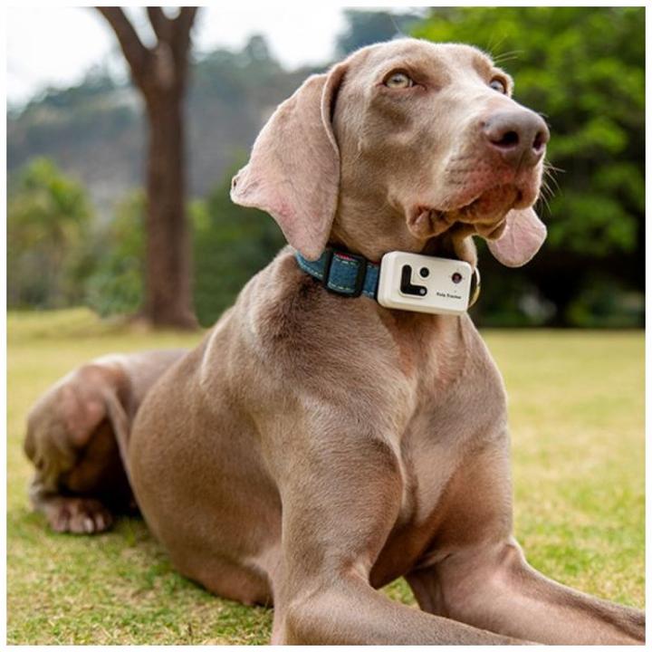 Image du produit Enabot Rola PetTracker – Hunde-Tracker mit eingebauter Kamera – Gelb