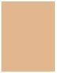Actual product image Estée Lauder Double Wear Stay In Place (1W Light (Warm))