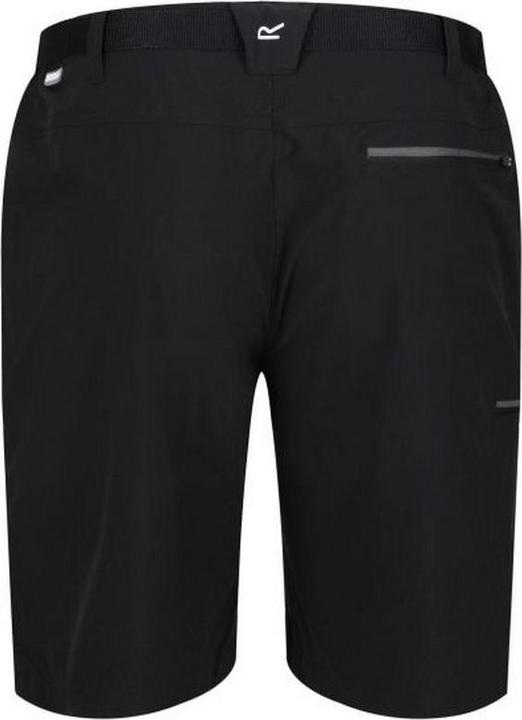 Actual product image Regatta Mens Xert III Stretch Shorts (56)