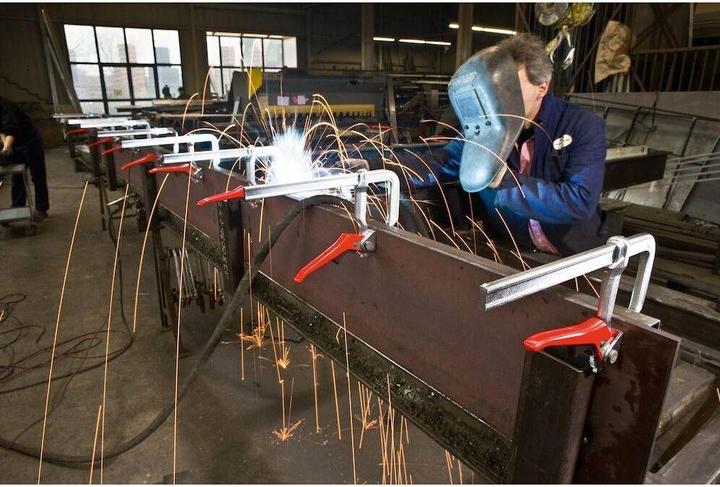 Immagine prodotto Bessey pinza emostatica (200 mm)