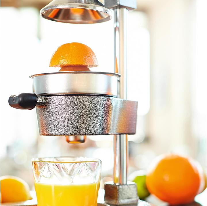 Produktbild Lumaland Saftpresse