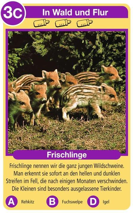 Immagine prodotto Ravensburger Animale Bambini (Tedesco)