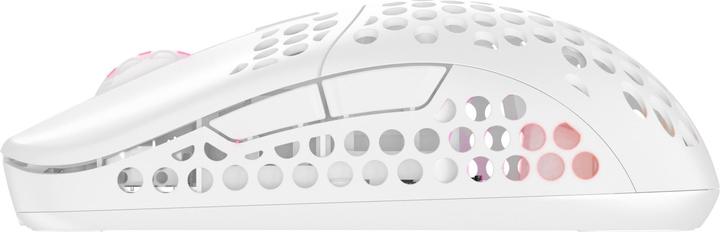 Actual product image CHERRY xtrfy M42 Wireless Gaming Mouse, RGB (Wireless)