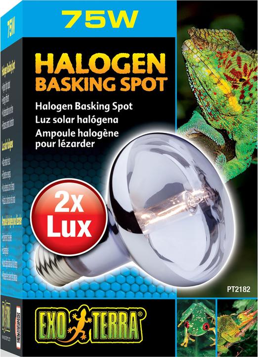 Actual product image Exo Terra Sun Glo Daylight Halogen Lamp 75W (UVA, UVB)
