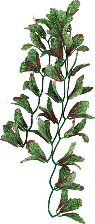 Amazonas Repti Fantasy Plant T 028 40cm