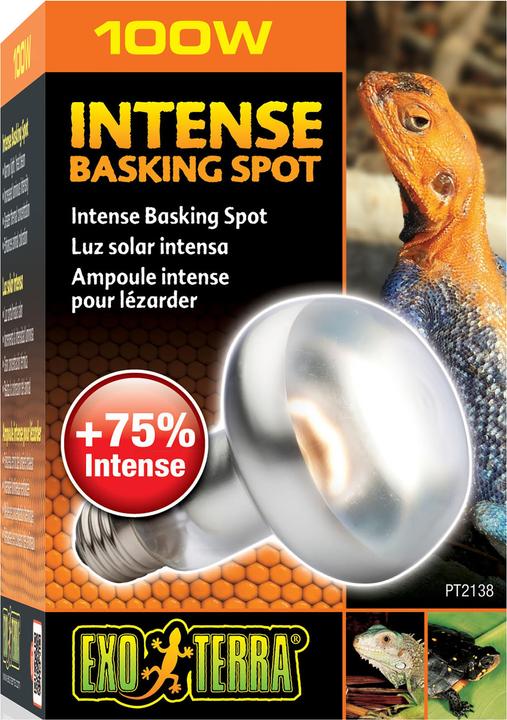 Produktbild Exo Terra Sun Glo Wärme Spotlampe (UVB)