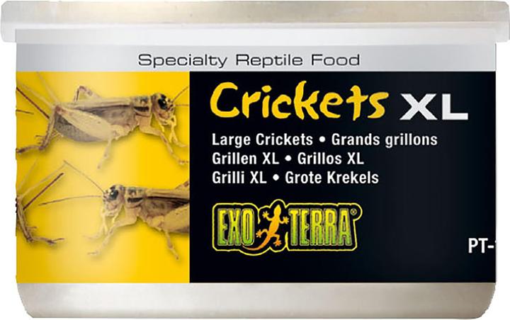 Immagine prodotto Exo Terra Cibo per rettili Grilli XL 34g (1 x, 0.03 kg)