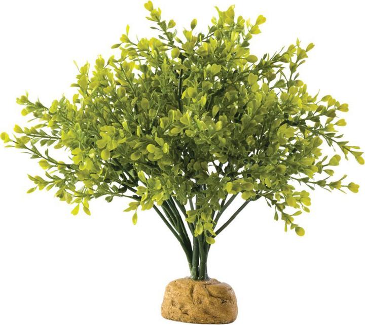 Productafbeelding Exo Terra Buxusstruik