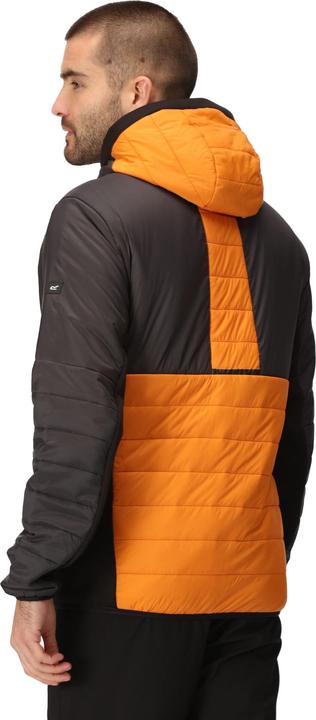 Produktbild Regatta Trutton II Steppjacke (M)