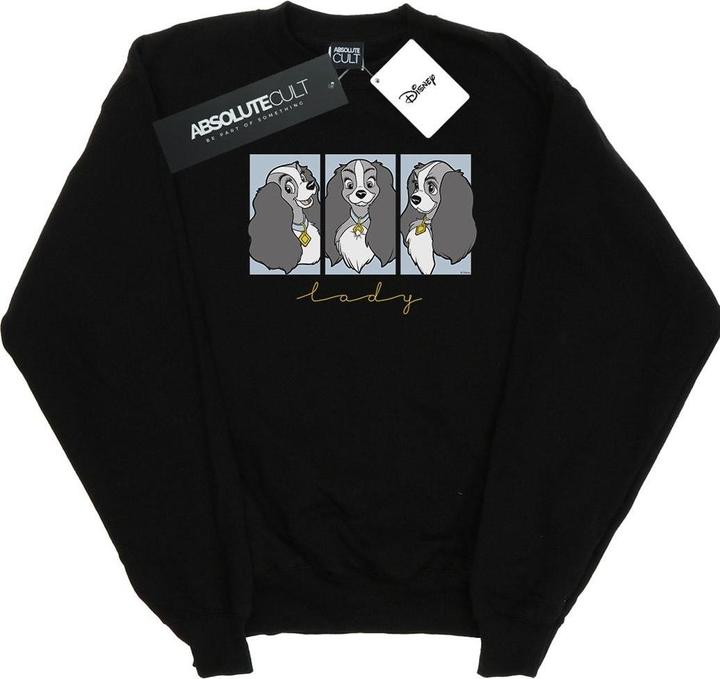 Disney Lady And The Tramp Lady Frames Sweatshirt