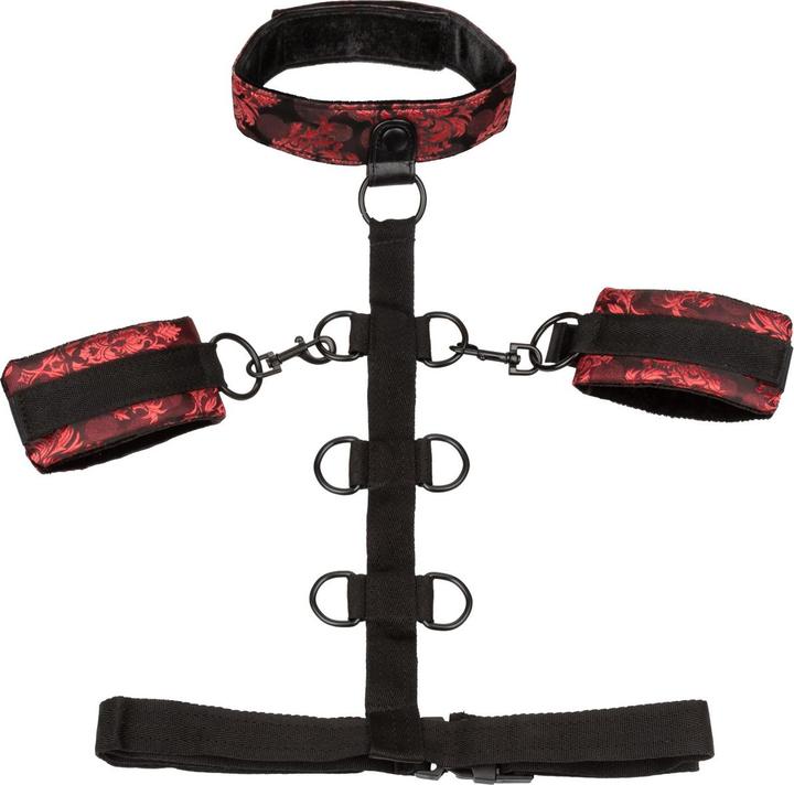 Actual product image CalExotics Scandal Collar Body Restraint