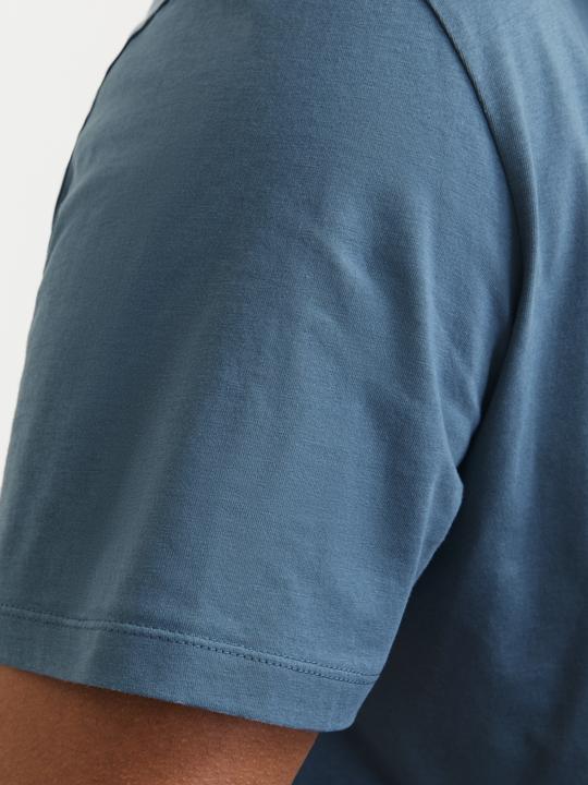 Actual product image Jack & Jones Jjelogo Tee Ss O-Neck 2 Col Aw24 S Pls (XXL)