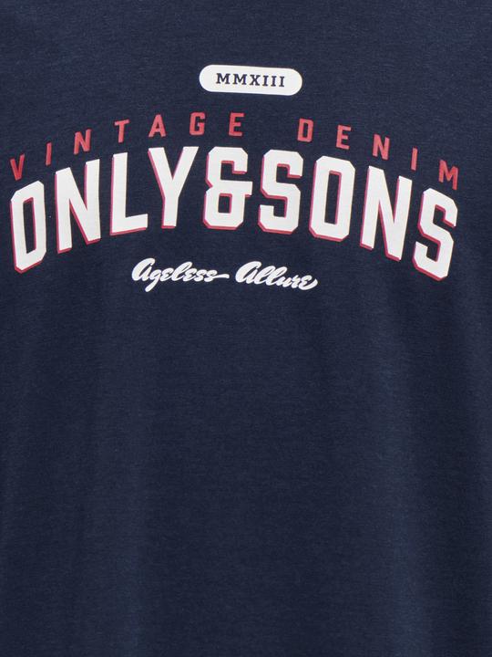 Image du produit Only & Sons Junior Osjlenny Life Reg Vintage Tee Jrs Noos (110)