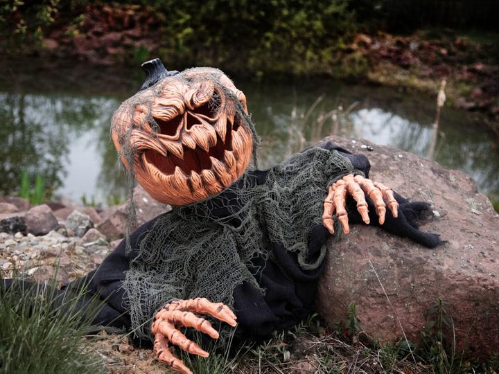 Actual product image Europalms Halloween pumpkin monster