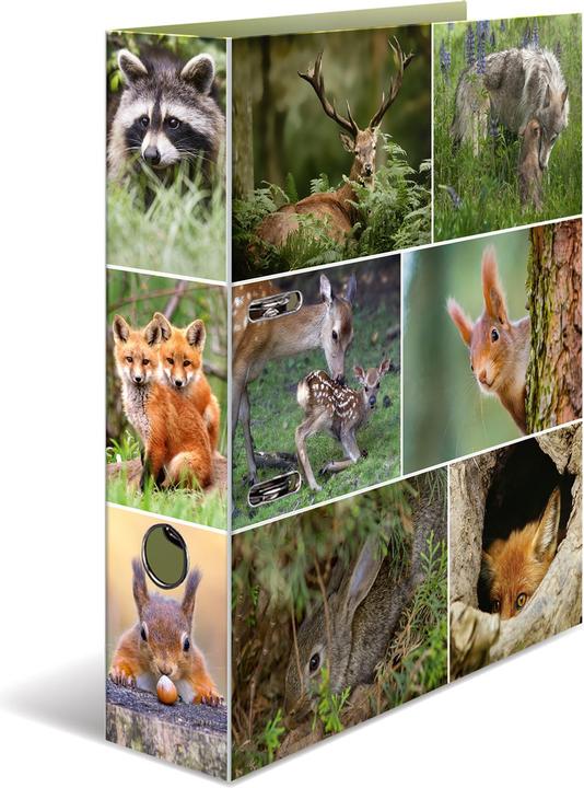 HERMA A4 folder motif (A4, 70 mm, 1 Piece)