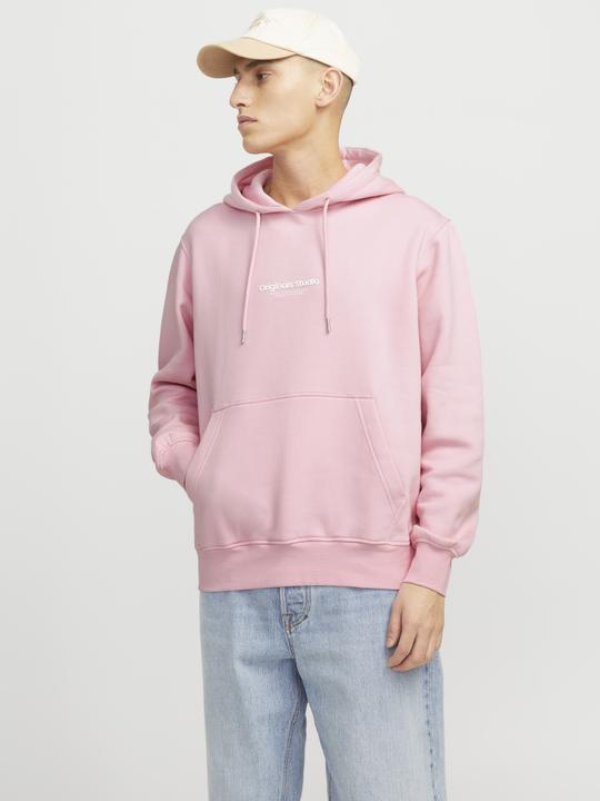 Image du produit Jack & Jones Jorvesterbro Sweat Hood Noos (XXL)