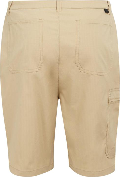 Actual product image Regatta Mens Dalry Multi Pocket Shorts (Frequency band 38 (2600 MHz))