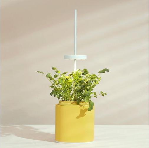 Image du produit Prêt à Pousser Pot pour herbes aromatiques Nano, Mimosa Yellow (13.50 cm)