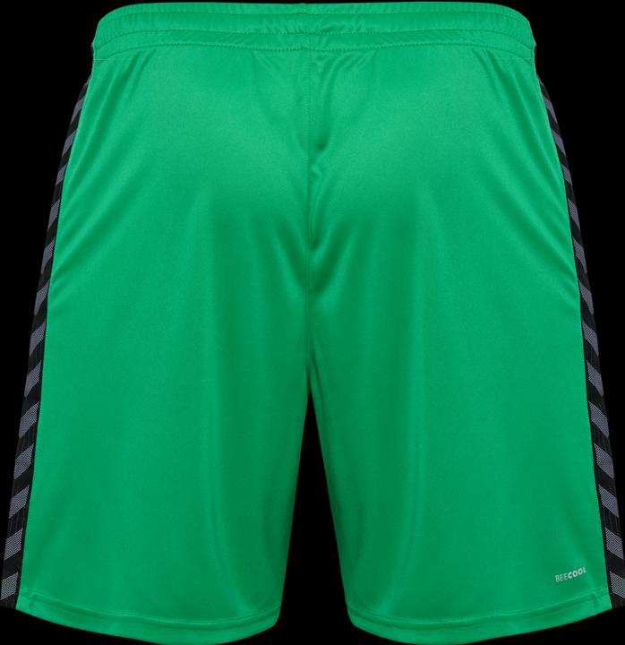 Actual product image hummel Hmlauthentic Pl Shorts (XL)