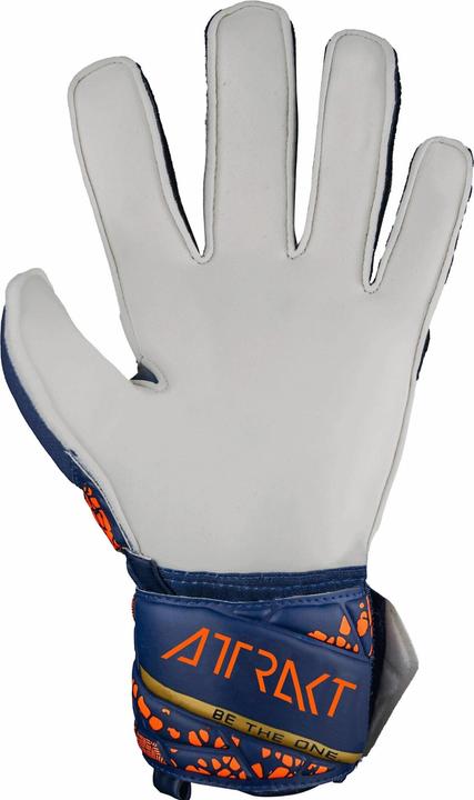 Actual product image Reusch goalkeeper gloves attrakt solid (10.5)