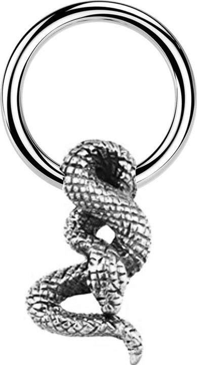 Star Piercing Closure Ring silber Schlange silber (Messing, Chirurgenstahl 316L)