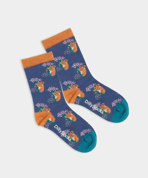 DillySocks Lil Comfy Koala (Einzelpack, 19 - 22)