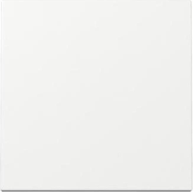 Actual product image Gira Rocker System 55 pure white 329603