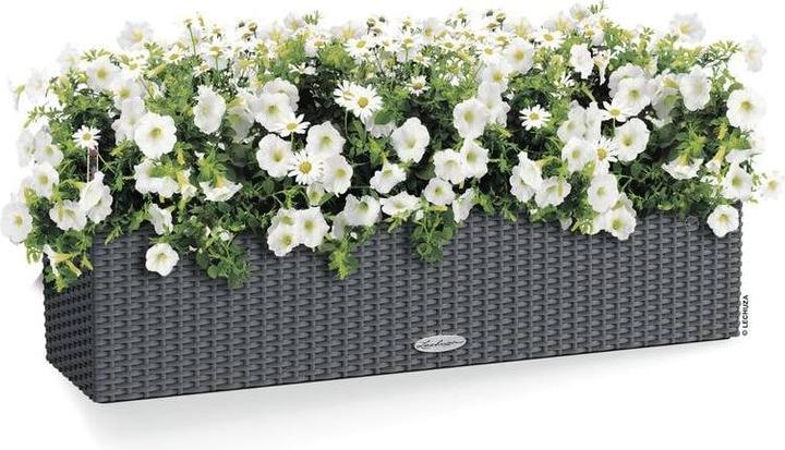 Produktbild Lechuza Balconera Cottage (19 cm)