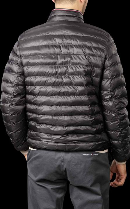 Actual product image Tommy Hilfiger Circular (S)