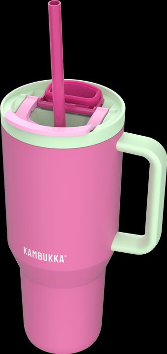 Image du produit Kambukka Rio (0.95 l)