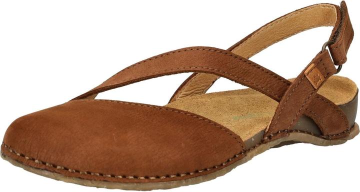El Naturalista Sandalen (39)
