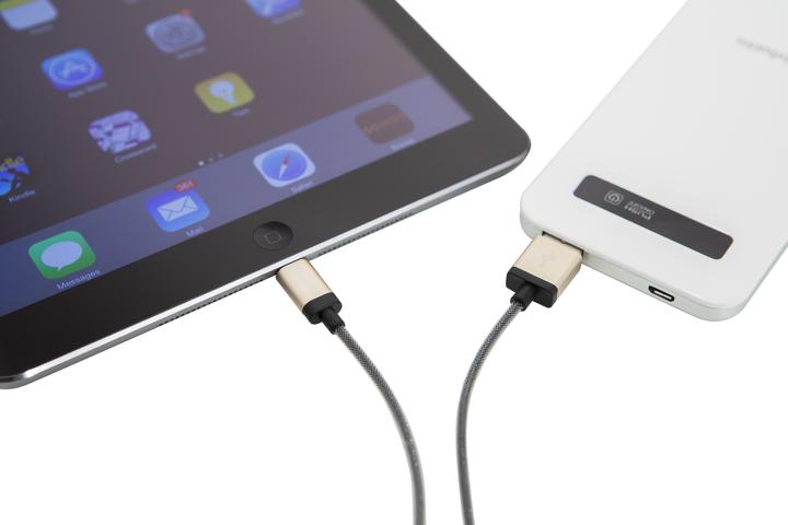 Actual product image Verbatim Lightning Cable - Champagne Gold - (0.30 m, USB 2.0)
