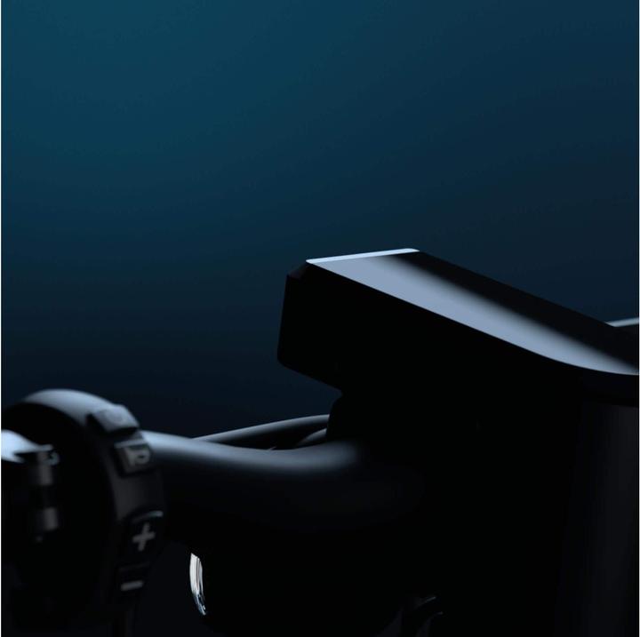 Immagine prodotto Egret Pro (20 km/h, 80 km, 500 W)