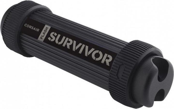 Corsair Survivor Stealth (256 GB, USB-A)