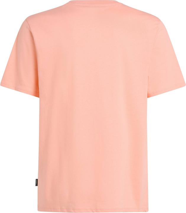 Actual product image O'Neill Original Cali Logo T-Shirt (XXL)