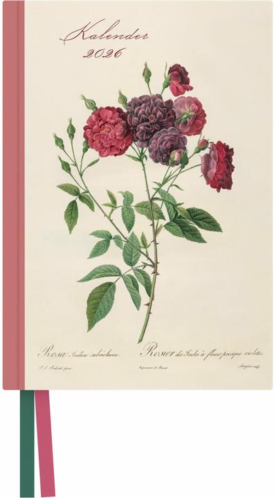 Produktbild Redoutés Rosen Taschenkalender 2026 - Terminplaner mit Wochenkalendarium - Format 11,3 x 16,3 cm (Deutsch)