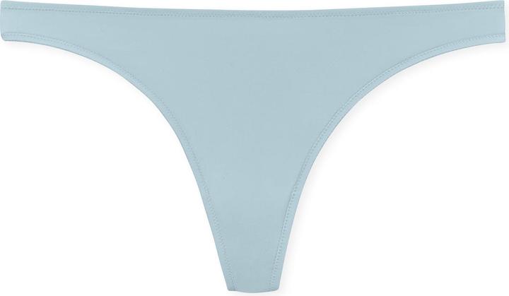 Oiseau bleu