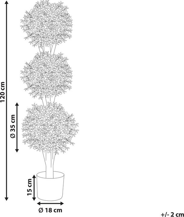 Image du produit Beliani BUXUS BALL TREE (120 cm)