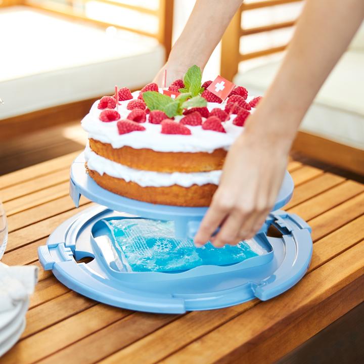 Actual product image Rotho Cake bell Cool & Fresh blue