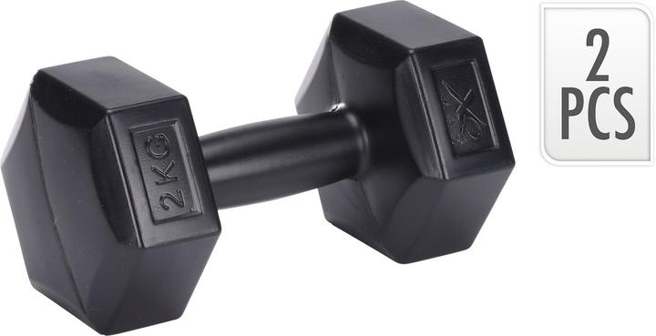 XQ Max Ensemble d'haltères en ciment (2 x 2 kg)