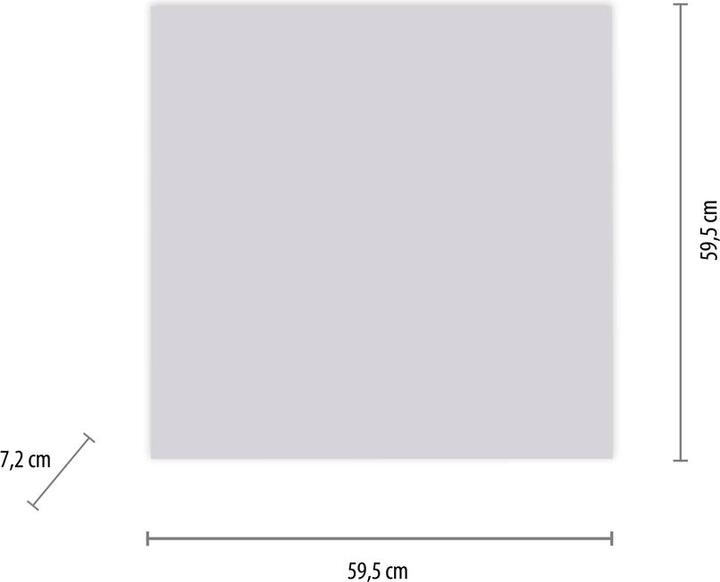 Produktbild Paul Neuhaus Canvas (3600 lm)