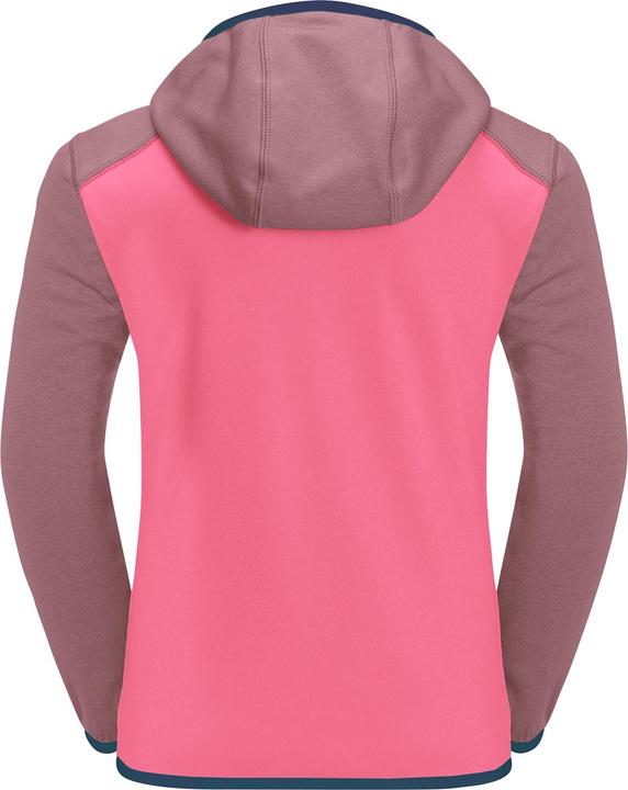 Immagine prodotto Jack Wolfskin Active Hoody K (176)