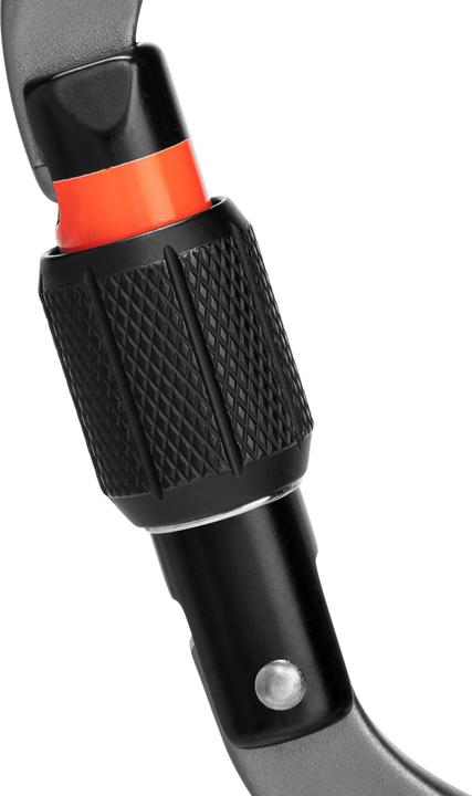 Immagine prodotto Mammut Moschettone a vite Workhorse HMS